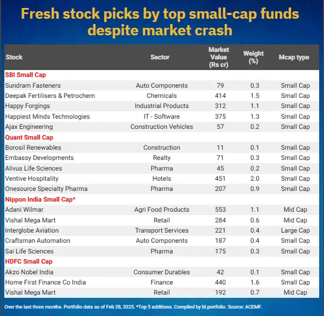 New stocks bought by smallcap funds New stocks bought by smallcap funds